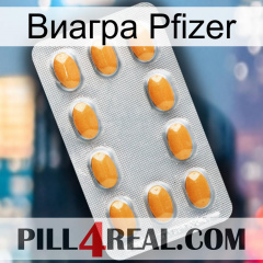 Виагра Pfizer cialis3